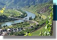 Mosel